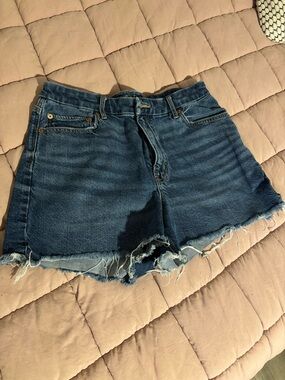 American Eagle Outfitters Dark Blue Denim Cutoff Shorts
